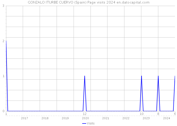 GONZALO ITURBE CUERVO (Spain) Page visits 2024 