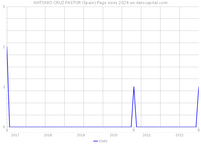 ANTONIO CRUZ PASTOR (Spain) Page visits 2024 