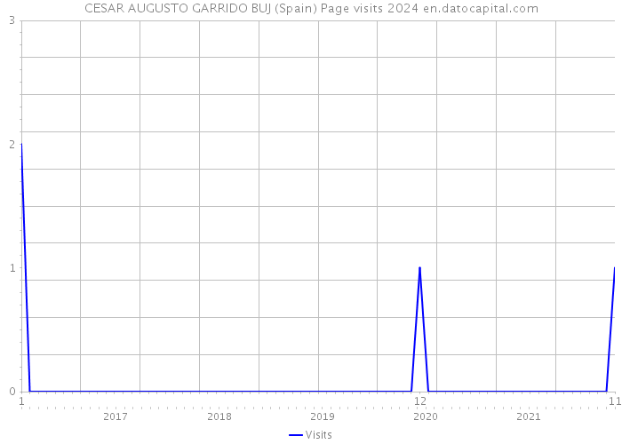 CESAR AUGUSTO GARRIDO BUJ (Spain) Page visits 2024 