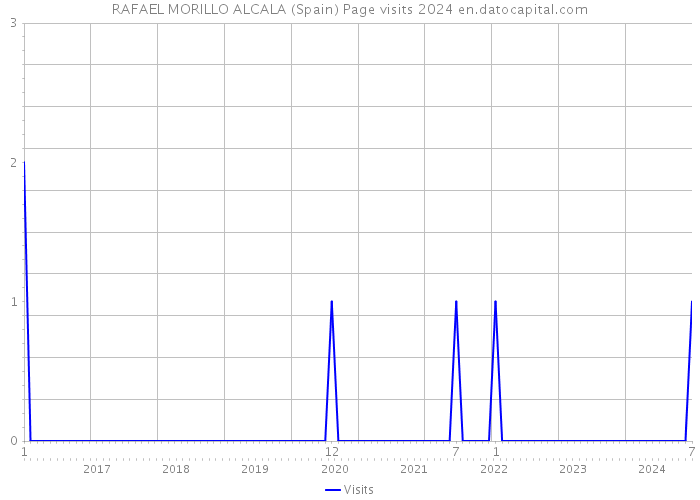 RAFAEL MORILLO ALCALA (Spain) Page visits 2024 