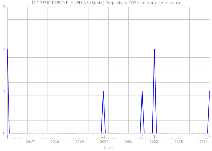 LLORENC RUBIO PLANELLAS (Spain) Page visits 2024 