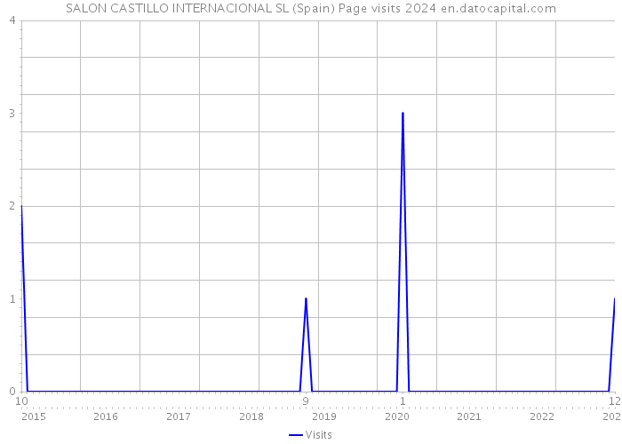 SALON CASTILLO INTERNACIONAL SL (Spain) Page visits 2024 