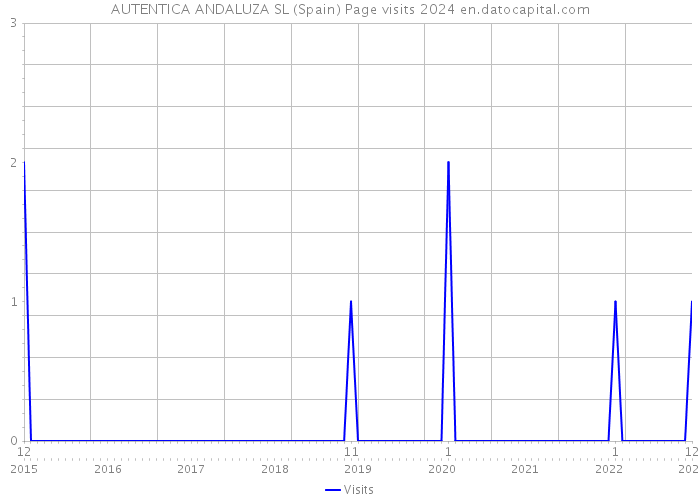 AUTENTICA ANDALUZA SL (Spain) Page visits 2024 