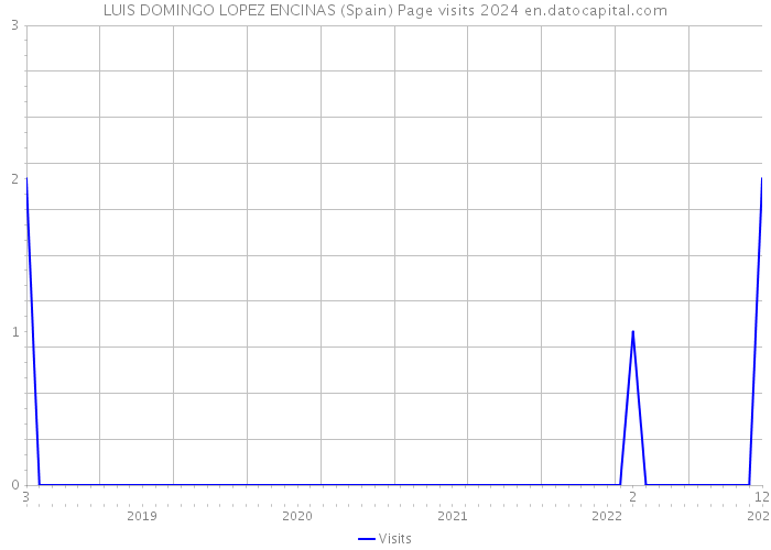 LUIS DOMINGO LOPEZ ENCINAS (Spain) Page visits 2024 
