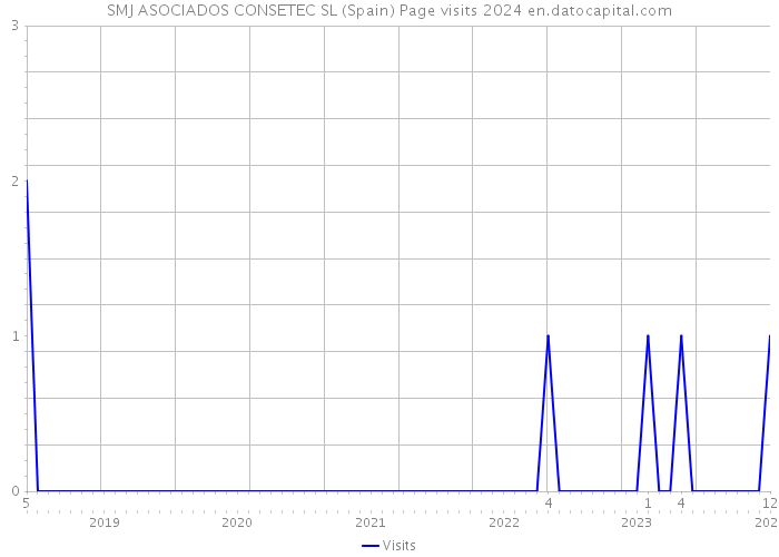 SMJ ASOCIADOS CONSETEC SL (Spain) Page visits 2024 