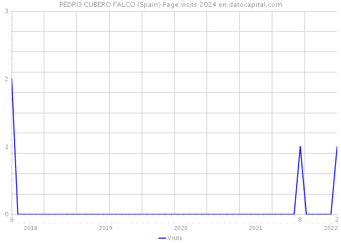 PEDRO CUBERO FALCO (Spain) Page visits 2024 