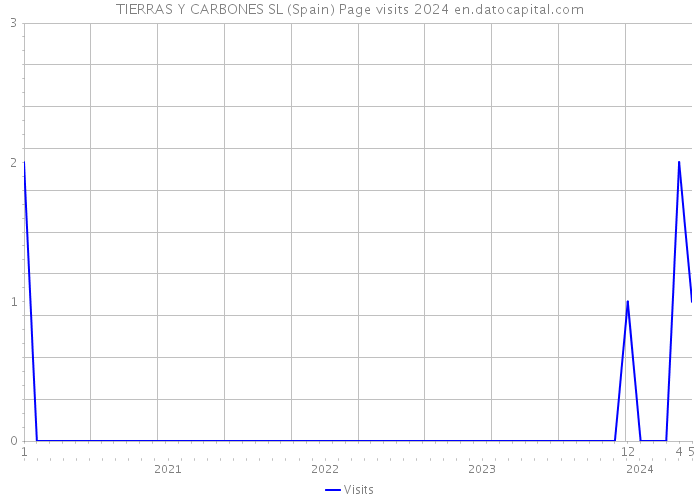 TIERRAS Y CARBONES SL (Spain) Page visits 2024 
