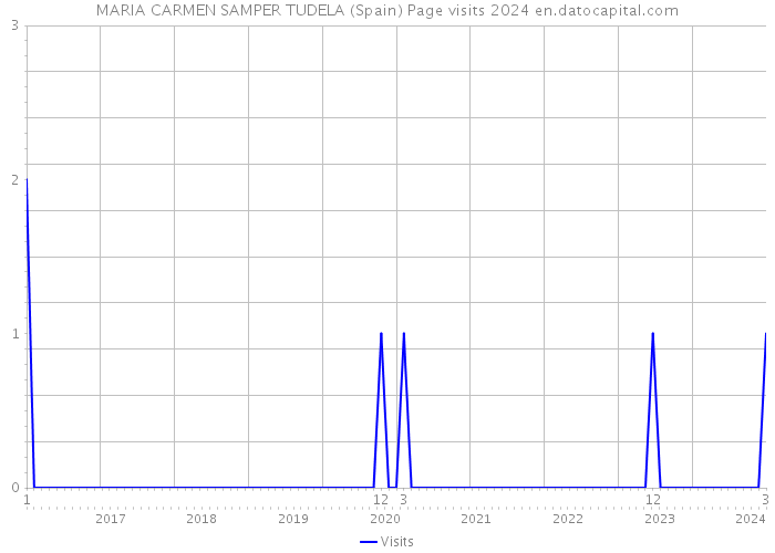 MARIA CARMEN SAMPER TUDELA (Spain) Page visits 2024 