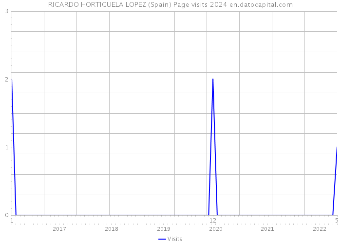 RICARDO HORTIGUELA LOPEZ (Spain) Page visits 2024 