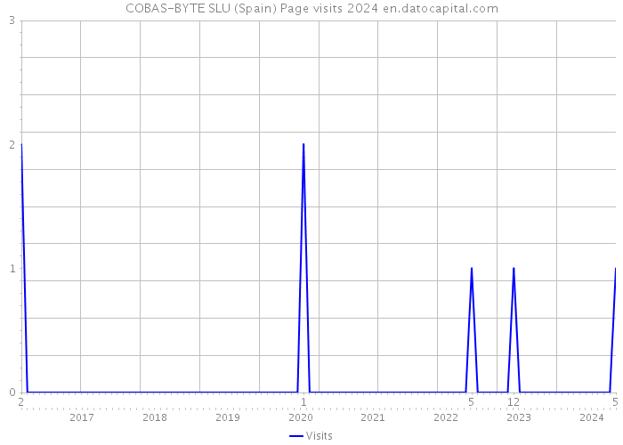 COBAS-BYTE SLU (Spain) Page visits 2024 