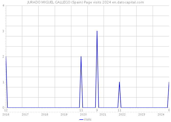 JURADO MIGUEL GALLEGO (Spain) Page visits 2024 