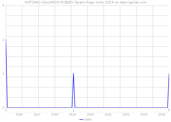 ANTONIO GALLARDO ROBLES (Spain) Page visits 2024 