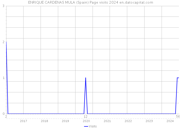 ENRIQUE CARDENAS MULA (Spain) Page visits 2024 
