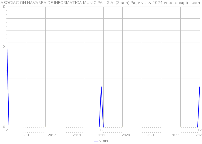 ASOCIACION NAVARRA DE INFORMATICA MUNICIPAL, S.A. (Spain) Page visits 2024 