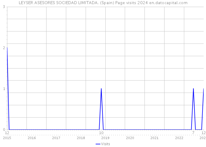 LEYSER ASESORES SOCIEDAD LIMITADA. (Spain) Page visits 2024 