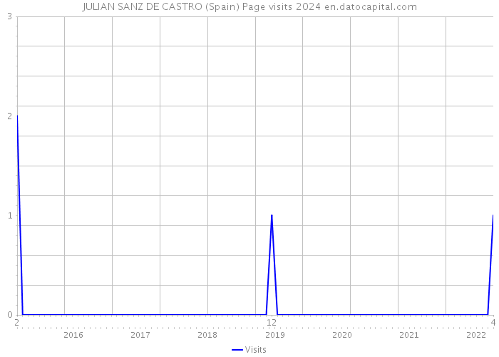 JULIAN SANZ DE CASTRO (Spain) Page visits 2024 