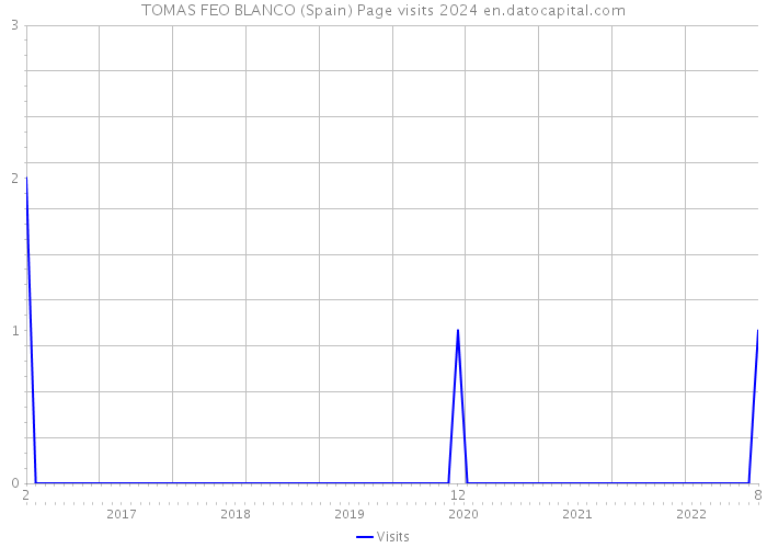 TOMAS FEO BLANCO (Spain) Page visits 2024 