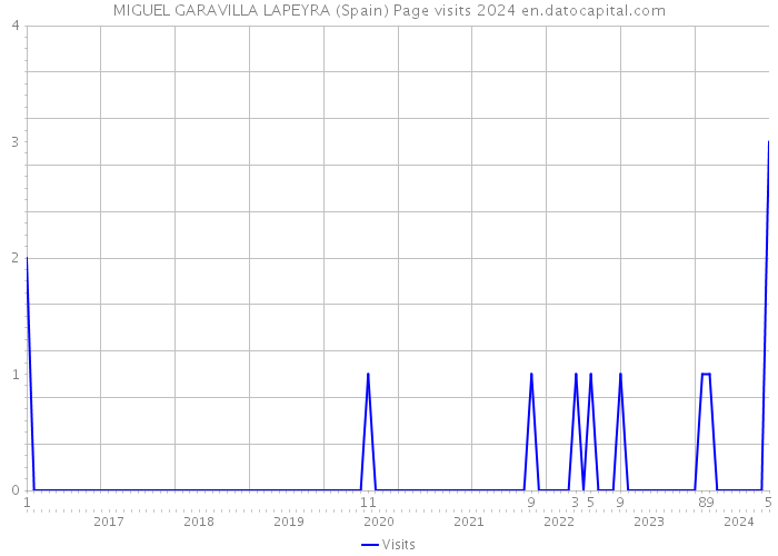 MIGUEL GARAVILLA LAPEYRA (Spain) Page visits 2024 