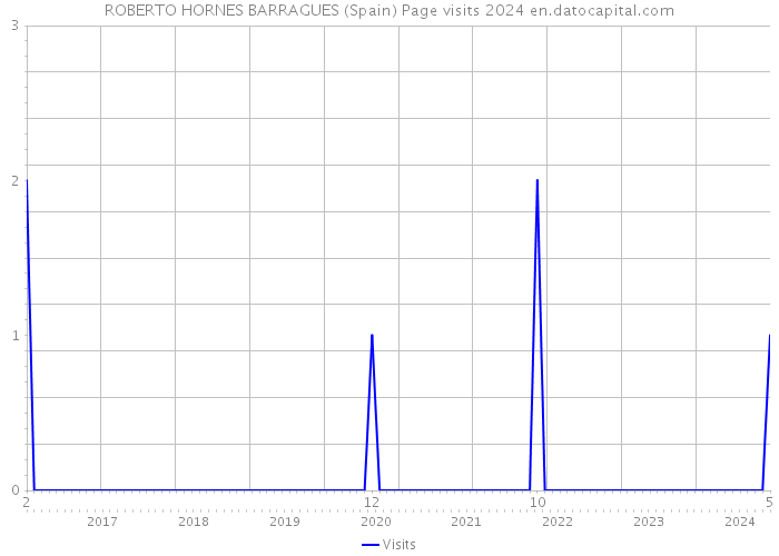 ROBERTO HORNES BARRAGUES (Spain) Page visits 2024 