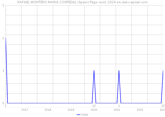 RAFAEL MONTERO MARIA COSPEDAL (Spain) Page visits 2024 