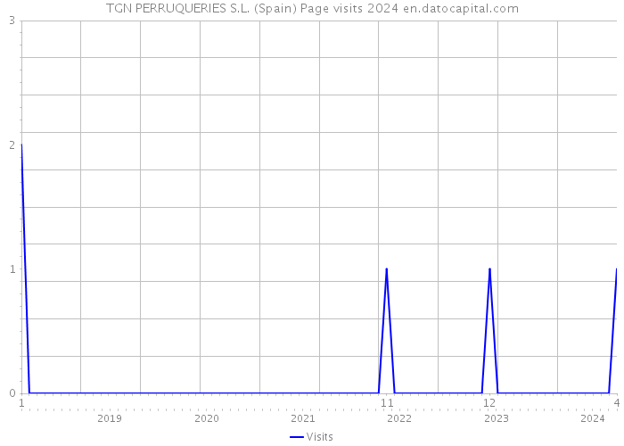 TGN PERRUQUERIES S.L. (Spain) Page visits 2024 