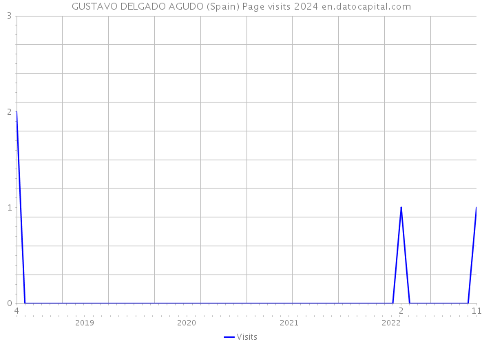 GUSTAVO DELGADO AGUDO (Spain) Page visits 2024 