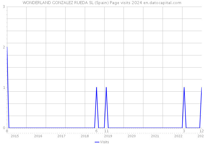 WONDERLAND GONZALEZ RUEDA SL (Spain) Page visits 2024 