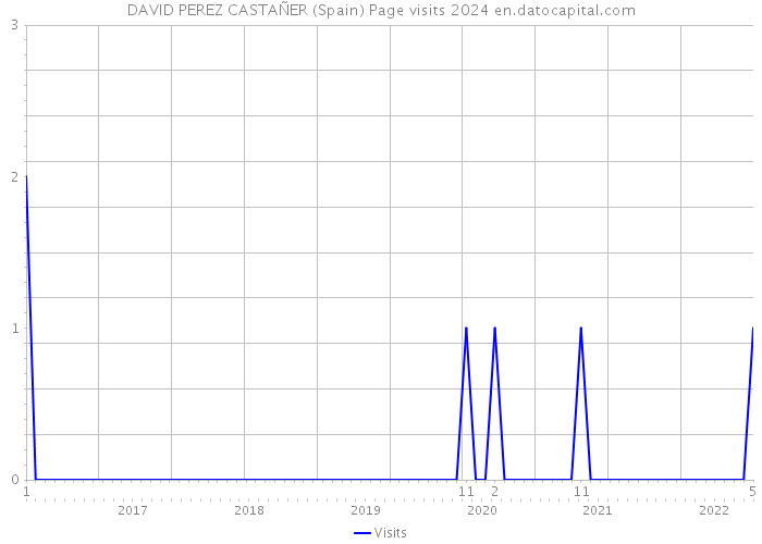 DAVID PEREZ CASTAÑER (Spain) Page visits 2024 