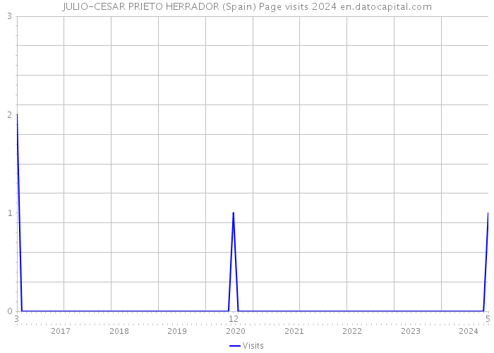 JULIO-CESAR PRIETO HERRADOR (Spain) Page visits 2024 