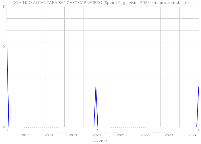 DOMINGO ALCANTARA SANCHEZ CARNERERO (Spain) Page visits 2024 
