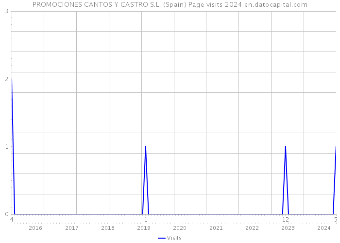 PROMOCIONES CANTOS Y CASTRO S.L. (Spain) Page visits 2024 