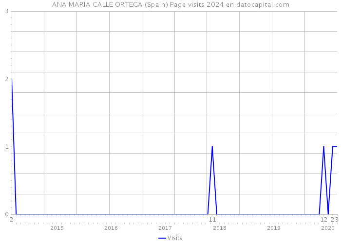 ANA MARIA CALLE ORTEGA (Spain) Page visits 2024 