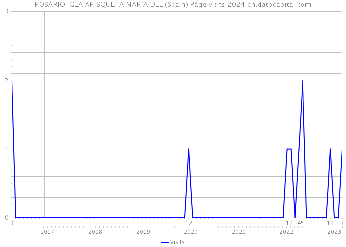 ROSARIO IGEA ARISQUETA MARIA DEL (Spain) Page visits 2024 