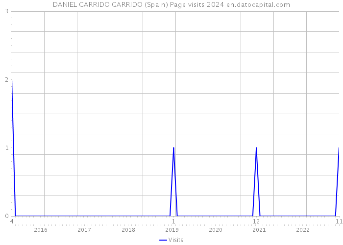 DANIEL GARRIDO GARRIDO (Spain) Page visits 2024 