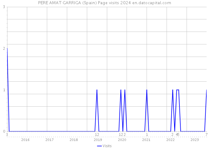 PERE AMAT GARRIGA (Spain) Page visits 2024 