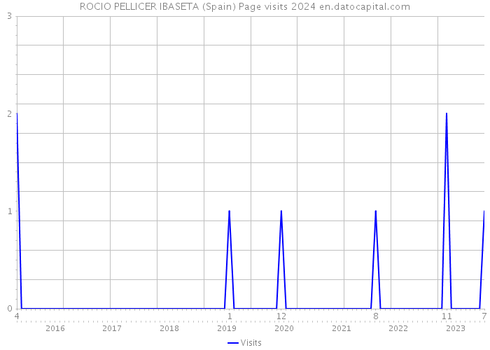 ROCIO PELLICER IBASETA (Spain) Page visits 2024 