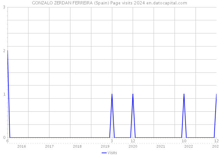 GONZALO ZERDAN FERREIRA (Spain) Page visits 2024 