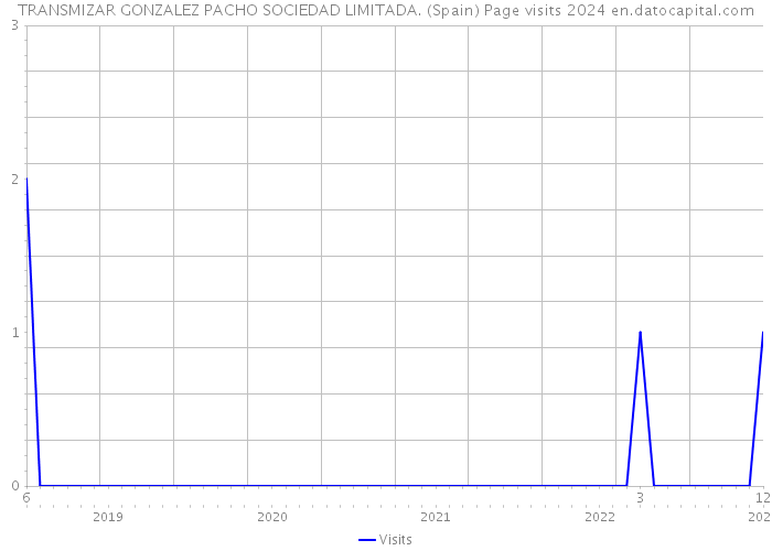 TRANSMIZAR GONZALEZ PACHO SOCIEDAD LIMITADA. (Spain) Page visits 2024 