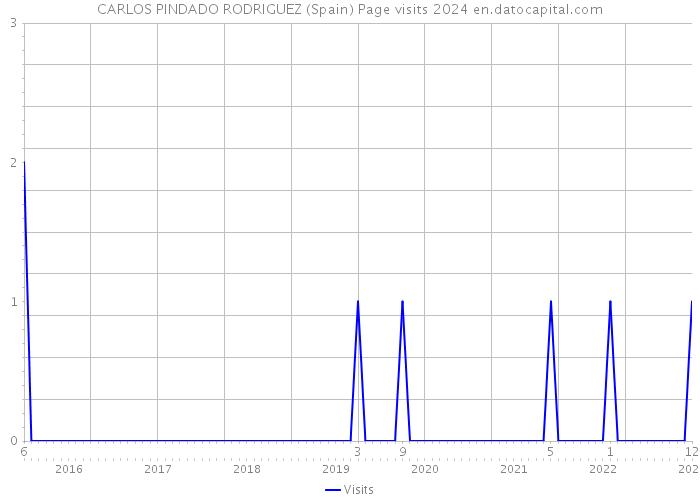 CARLOS PINDADO RODRIGUEZ (Spain) Page visits 2024 