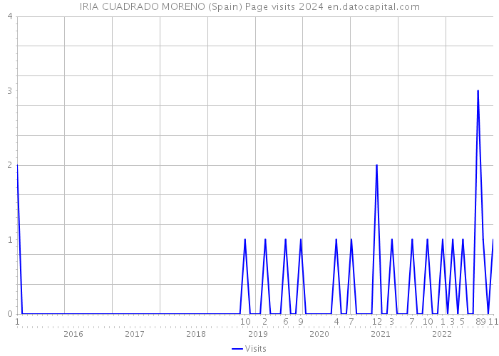 IRIA CUADRADO MORENO (Spain) Page visits 2024 