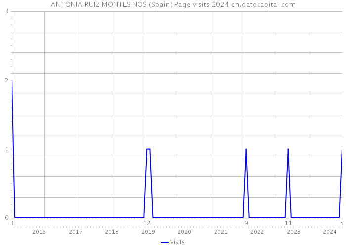 ANTONIA RUIZ MONTESINOS (Spain) Page visits 2024 