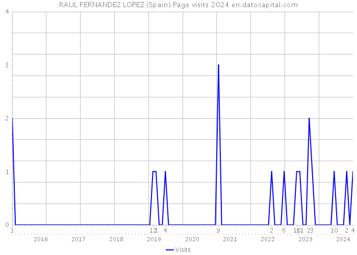 RAUL FERNANDEZ LOPEZ (Spain) Page visits 2024 