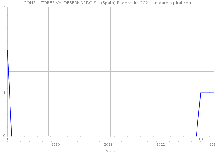 CONSULTORES VALDEBERNARDO SL. (Spain) Page visits 2024 