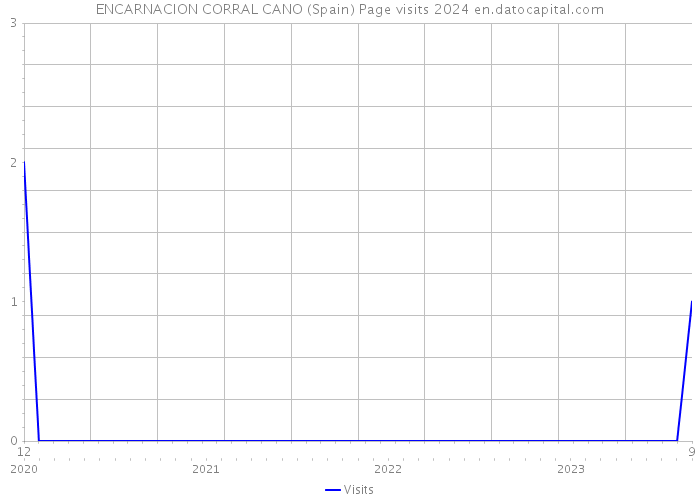 ENCARNACION CORRAL CANO (Spain) Page visits 2024 