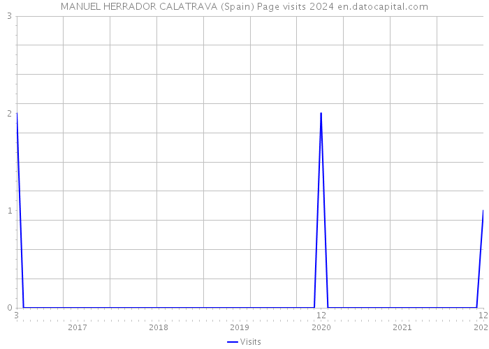 MANUEL HERRADOR CALATRAVA (Spain) Page visits 2024 