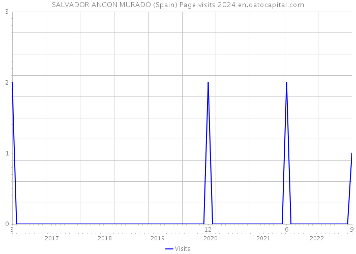 SALVADOR ANGON MURADO (Spain) Page visits 2024 