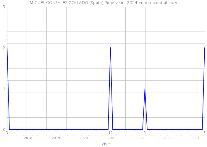 MIGUEL GONZALEZ COLLADO (Spain) Page visits 2024 