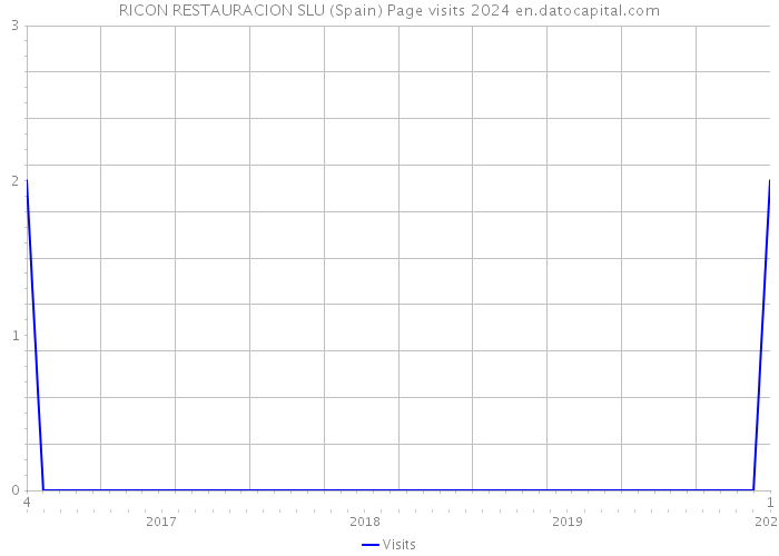 RICON RESTAURACION SLU (Spain) Page visits 2024 
