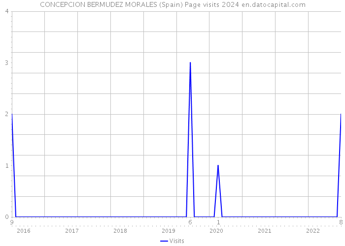 CONCEPCION BERMUDEZ MORALES (Spain) Page visits 2024 