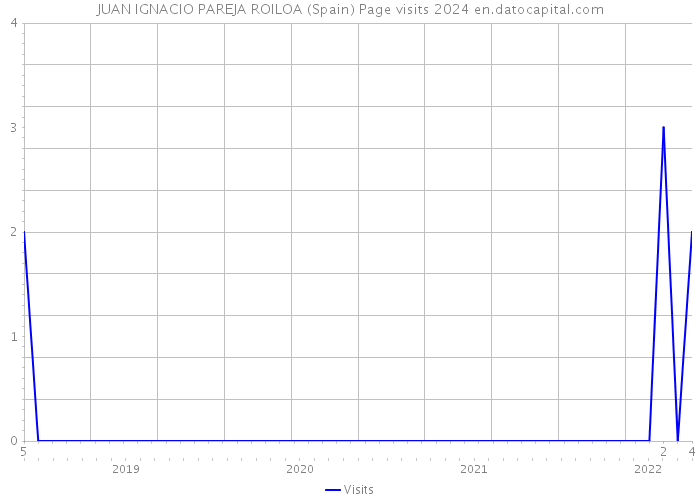 JUAN IGNACIO PAREJA ROILOA (Spain) Page visits 2024 